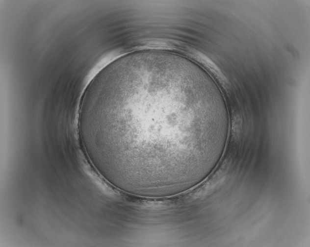 X0000112811378200909041445