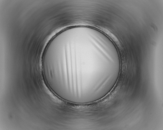 X0000112811380200909041445