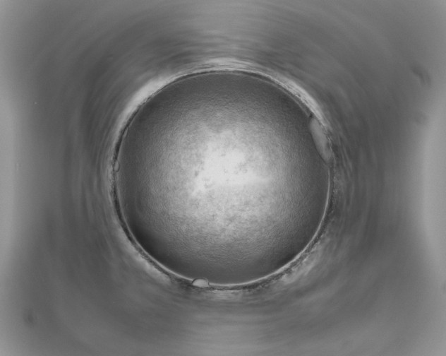 X0000112811381200909041445