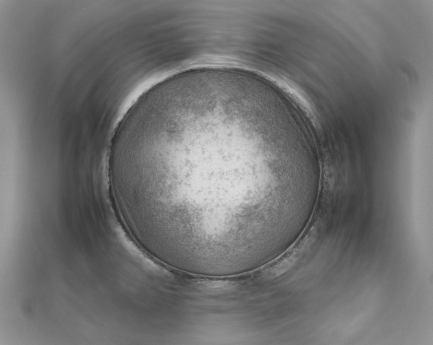 X0000112811382200909041445