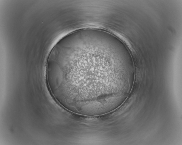 X0000112811383200909041445