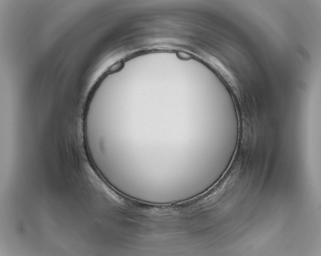 X0000112811384200909041445