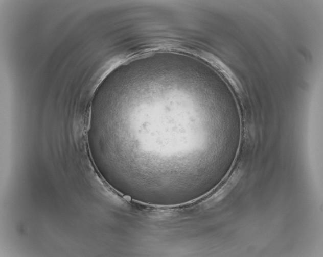X0000112811385200909041445