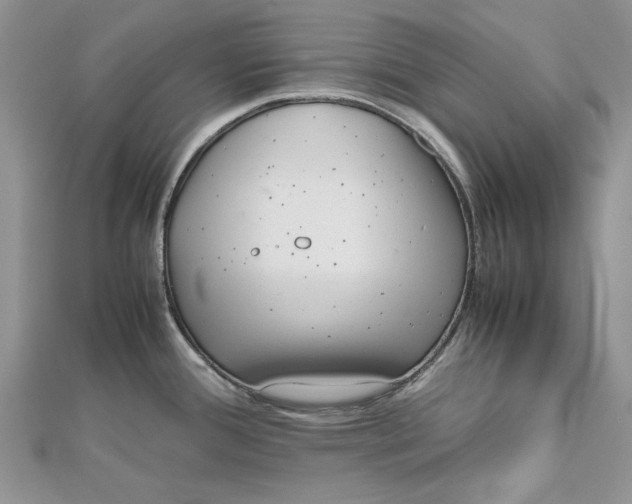 X0000112811388200909041445