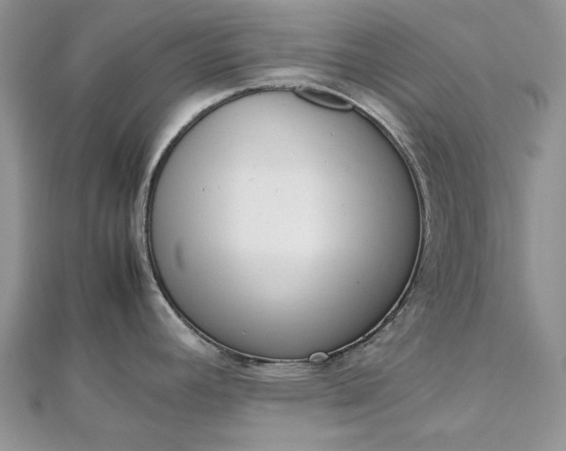 X0000112811392200909041445