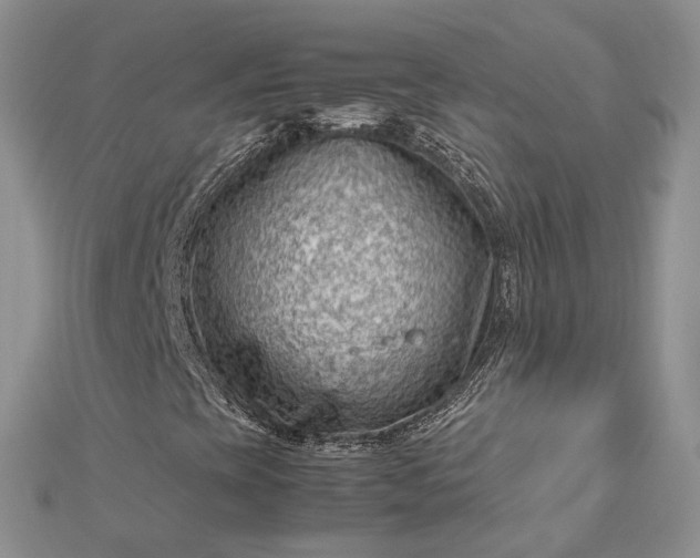 X0000112811393200909041444