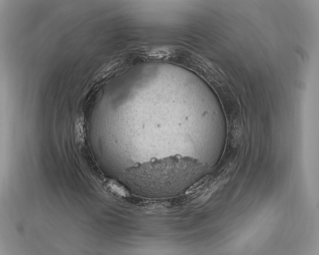 X0000112811394200909041444