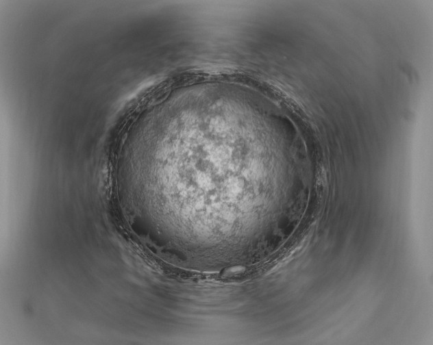 X0000112811398200909041444