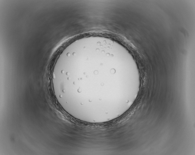 X0000112811400200909041444