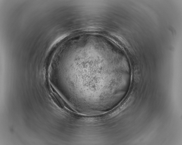 X0000112811402200909041444
