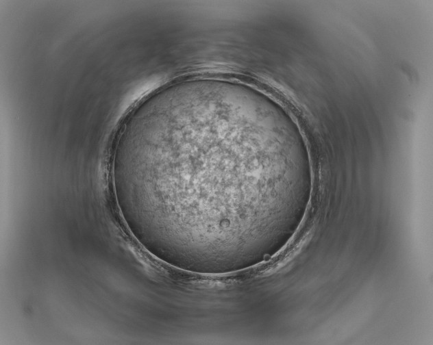 X0000112811405200909041444