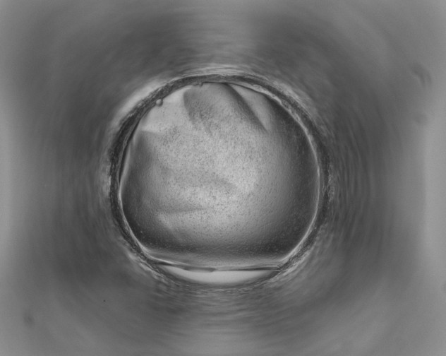 X0000112811406200909041444