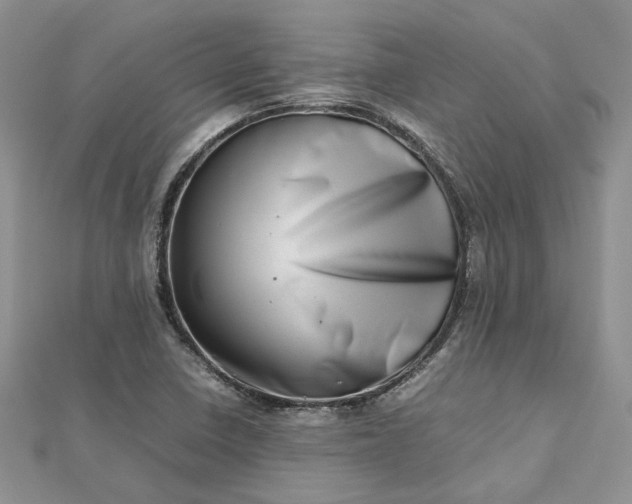 X0000112811410200909041444