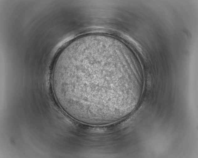 X0000112811411200909041444