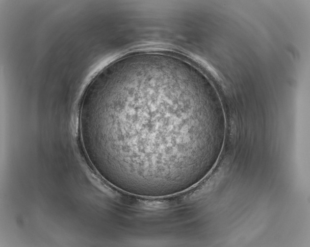 X0000112811413200909041444