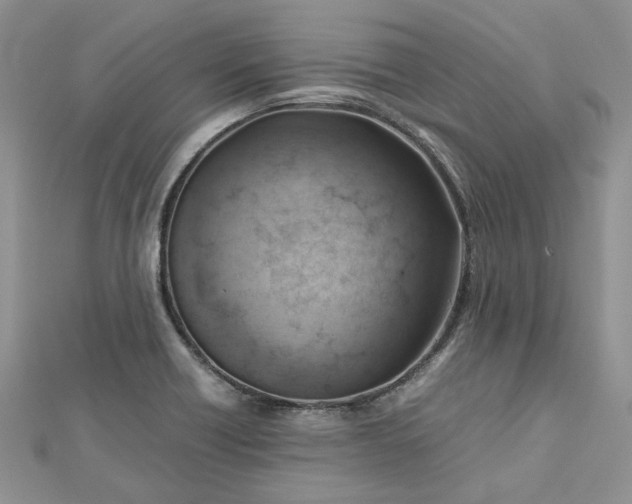 X0000112811418200909041444