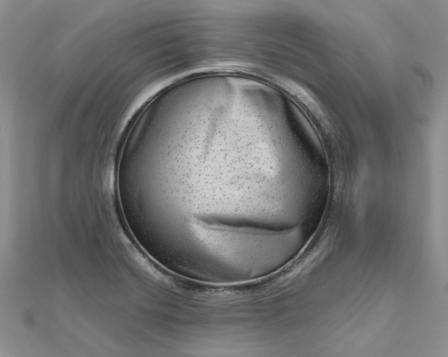 X0000112811420200909041444