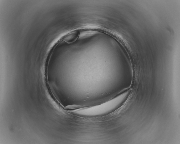 X0000112811422200909041444