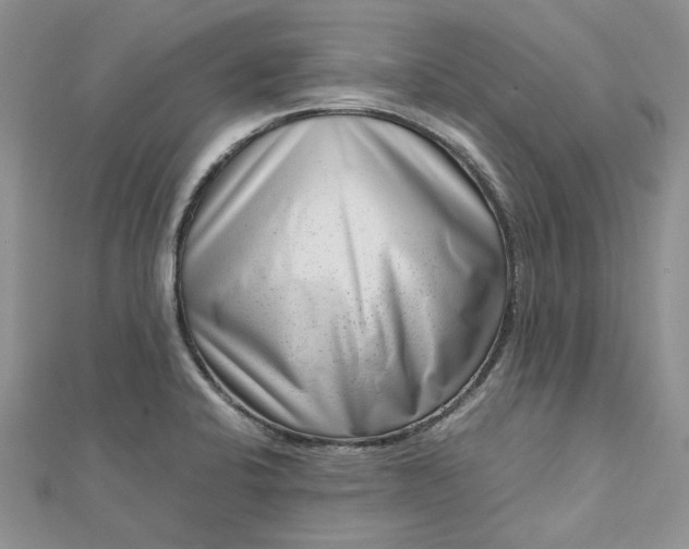X0000112811424200909041444