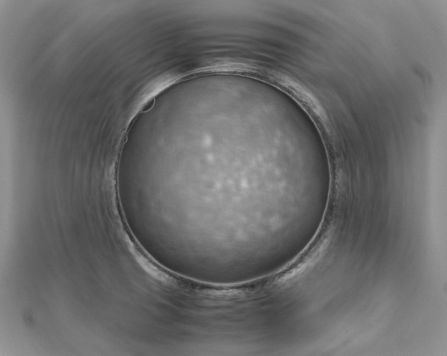 X0000112811425200909041444