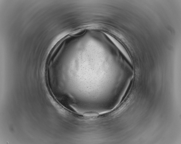 X0000112811426200909041444