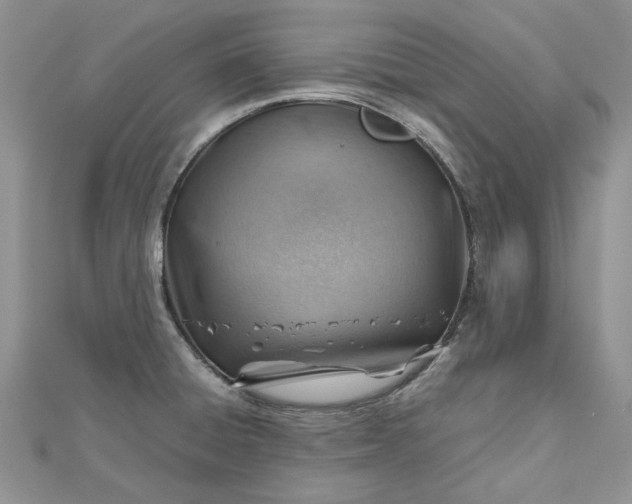X0000112811428200909041444
