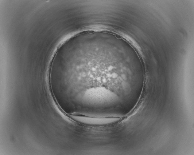 X0000112811429200909041444