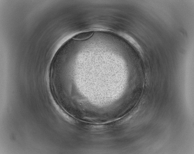 X0000112811431200909041444