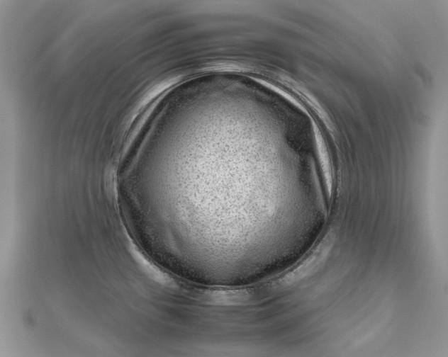 X0000112811433200909041445