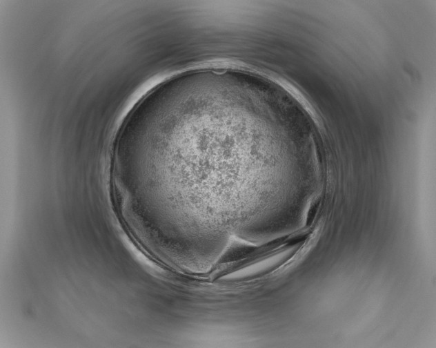 X0000112811438200909041445