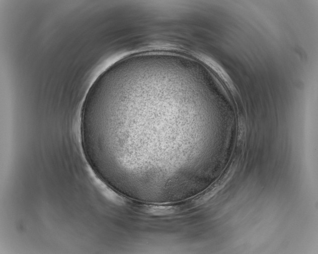 X0000112811439200909041445