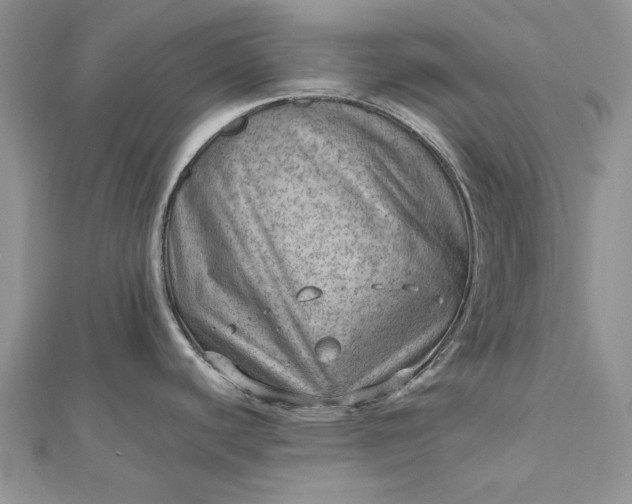 X0000112811440200909041445