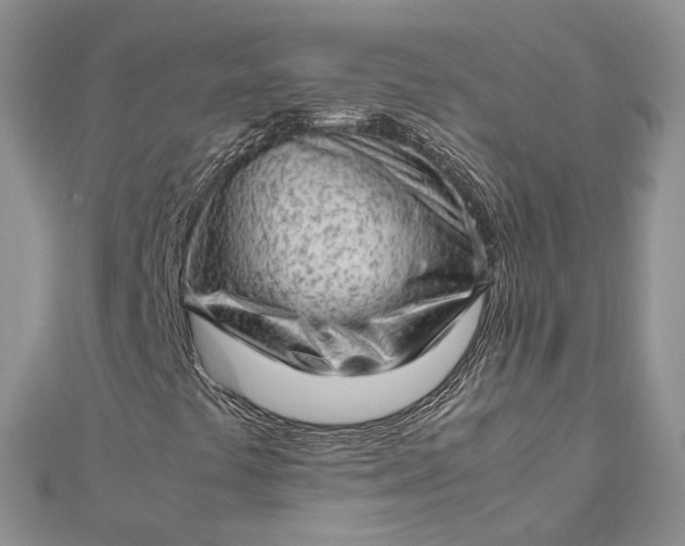 X0000112811441200909041444
