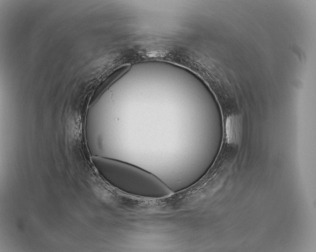 X0000112811443200909041444