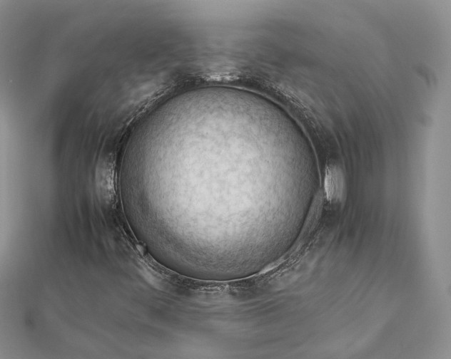 X0000112811444200909041444
