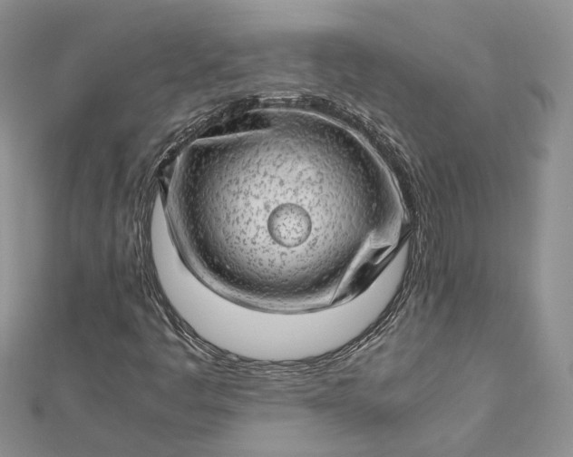X0000112811445200909041444