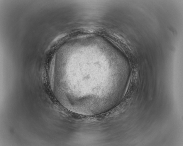 X0000112811446200909041444