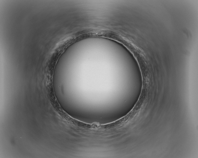 X0000112811447200909041444