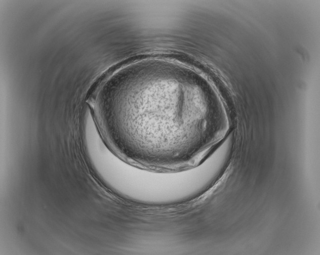 X0000112811449200909041444