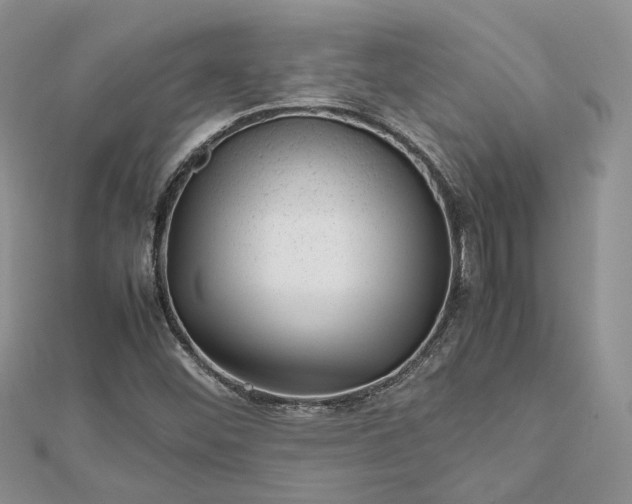 X0000112811452200909041444