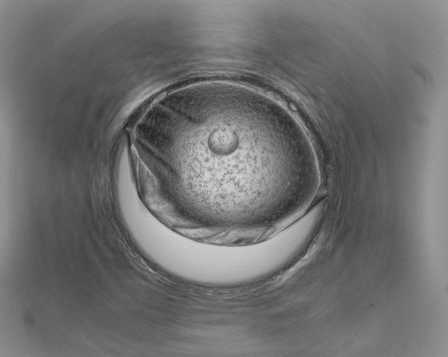 X0000112811453200909041444