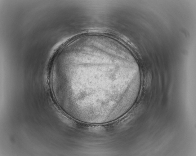 X0000112811454200909041444