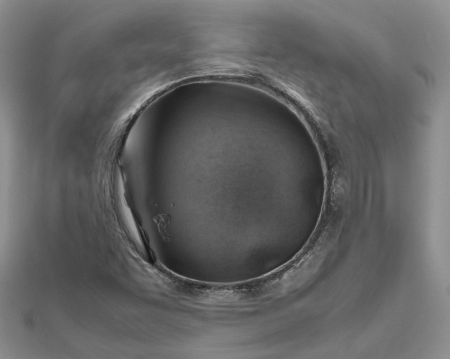 X0000112811455200909041444