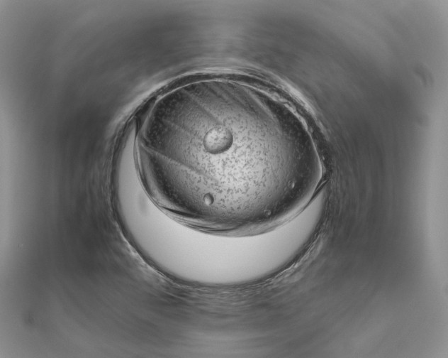 X0000112811456200909041444