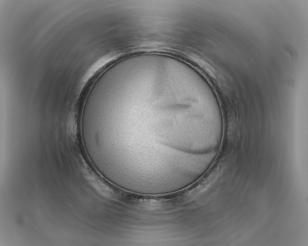 X0000112811458200909041444