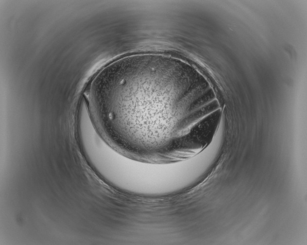 X0000112811459200909041444