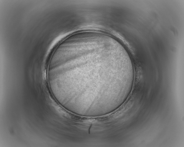 X0000112811462200909041444