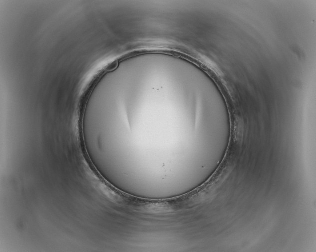 X0000112811464200909041444