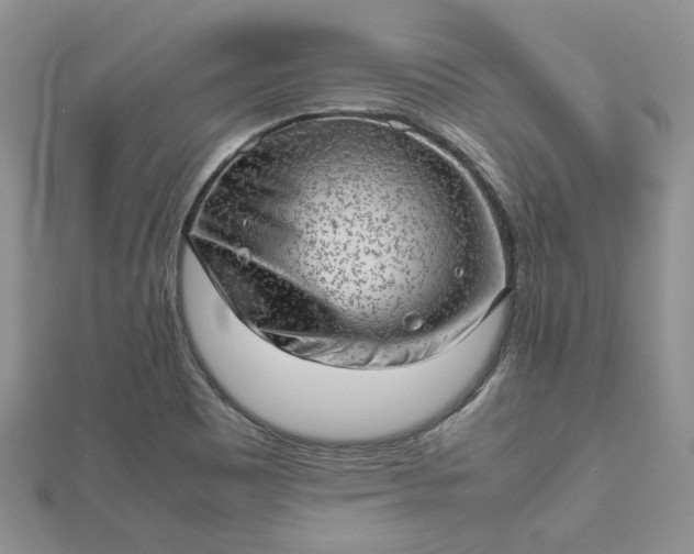 X0000112811465200909041444