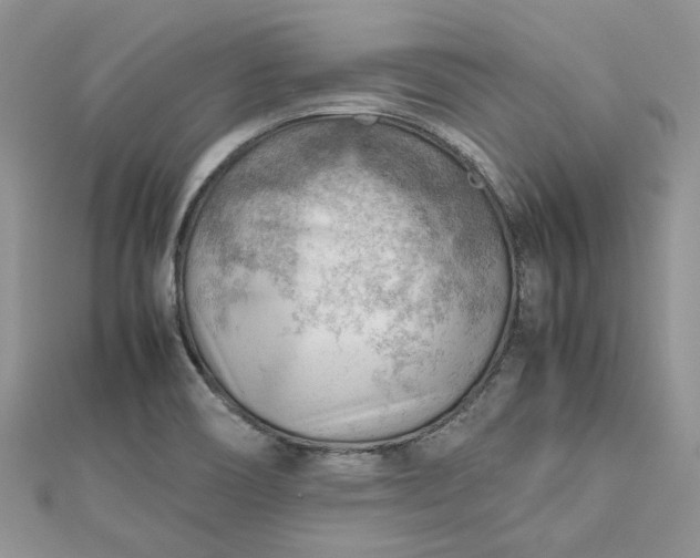 X0000112811466200909041444